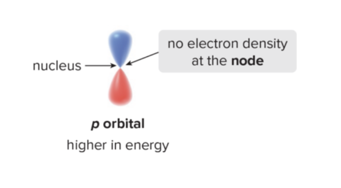 <p>has a dumbbell shape<br>Node of e density at nucleus with no electron density<br>A p orbital is higher in energy than an s orbital (in the same shell) because its electron density is farther away from the nucleus.</p>