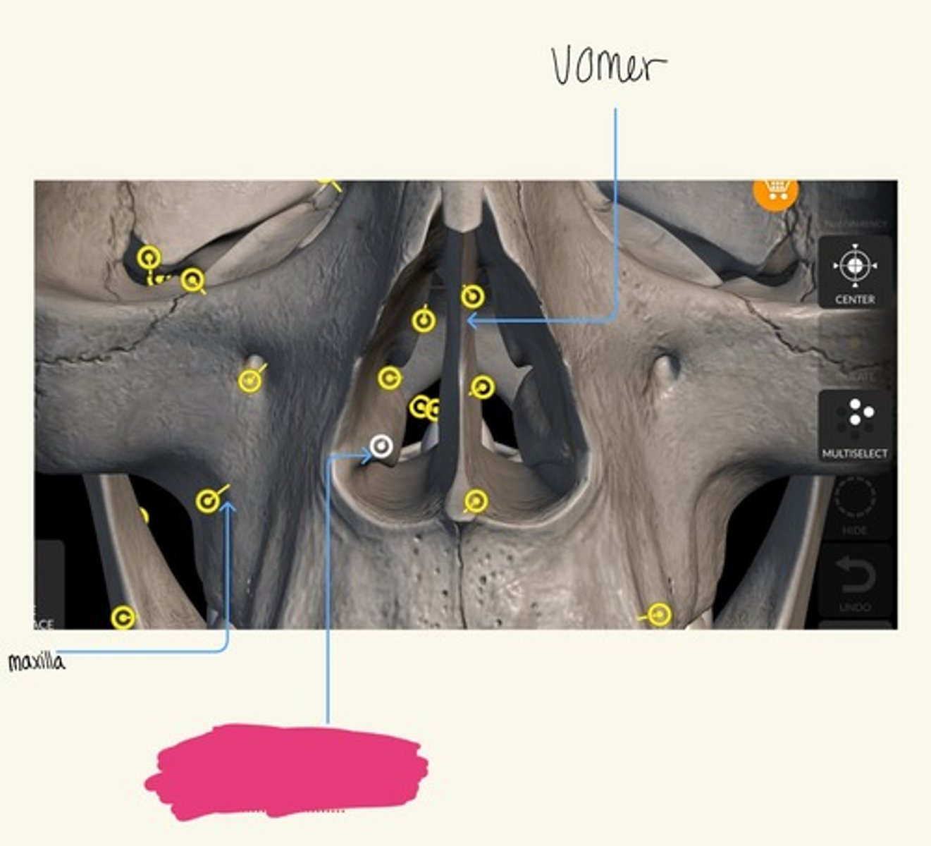 knowt flashcard image