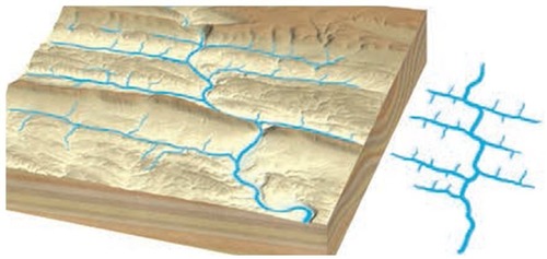 a pattern in which the tributaries join the main stream at right angles