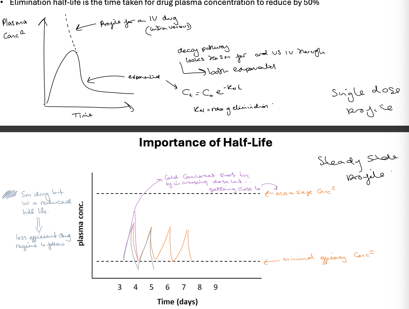 <p>elimination half life is the time taken for drug plasma concentration to reduce by 50%</p><ul><li><p>for ideal administration of oral drugs we want 24h doses</p></li><li><p>the shorter the half life the greater peak to trough ratio- need higher dose to maintain Cmin > efficacy</p></li><li><p>unless the drug is very safe once-a-day dosing requires a long half life eg. longer than 12 hours </p></li><li><p>half life is driven by two independent factors - volume of distribution and clearance</p></li><li><p>dosing must be carefully controlled to ensure that the plasma concentration remains in the therapeutic window </p></li><li><p>first graph is the single dose profile </p></li><li><p>second graph is the steady state profile - shows max safe and minimus efficacy concentrations </p></li></ul><p></p>