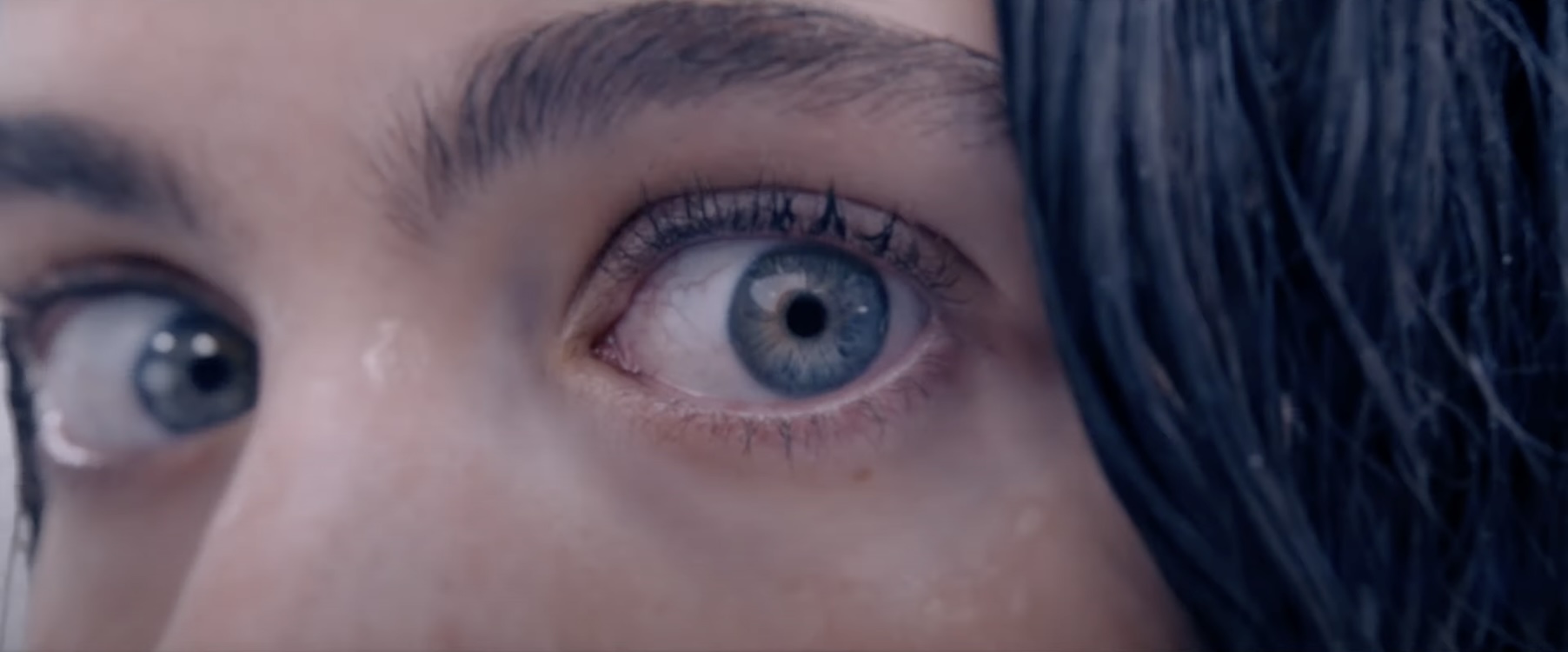 <p><span style="background-color: transparent;"><span>extreme close-up</span></span></p>