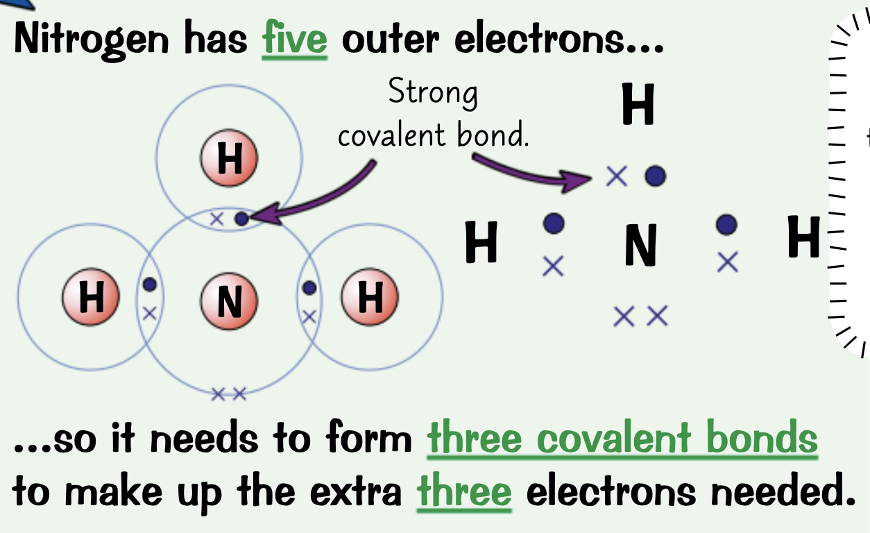 <p>Electrons drawn in the overlap between outer orbitals of the two atoms are shared between those atoms.</p>