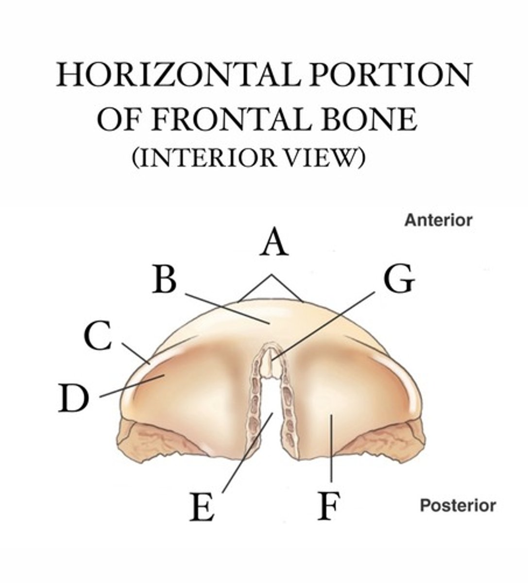 <p>What is A?</p>