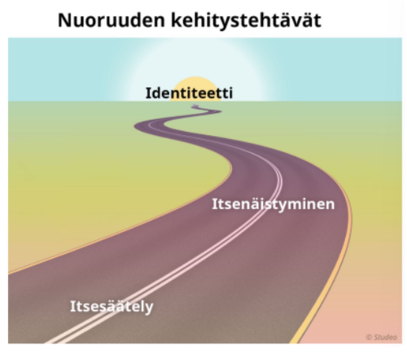 <p>kehitystehtävä: jokaiseen ikävaiheeseen kuuluvia tehtäviä tai haasteita, jotka syntyvät tarpeesta sopeutua biologisiin muutoksiin ja sosiokulttuurisesti määräytyviin yhteisön ja yhteiskunnan odotuksiin.</p><p>Nuoruuden tärkeimmät kehitystehtävät:</p><p>1. itsesäätely</p><p>2. itsenäistyminen</p><p>3. identiteetti</p>