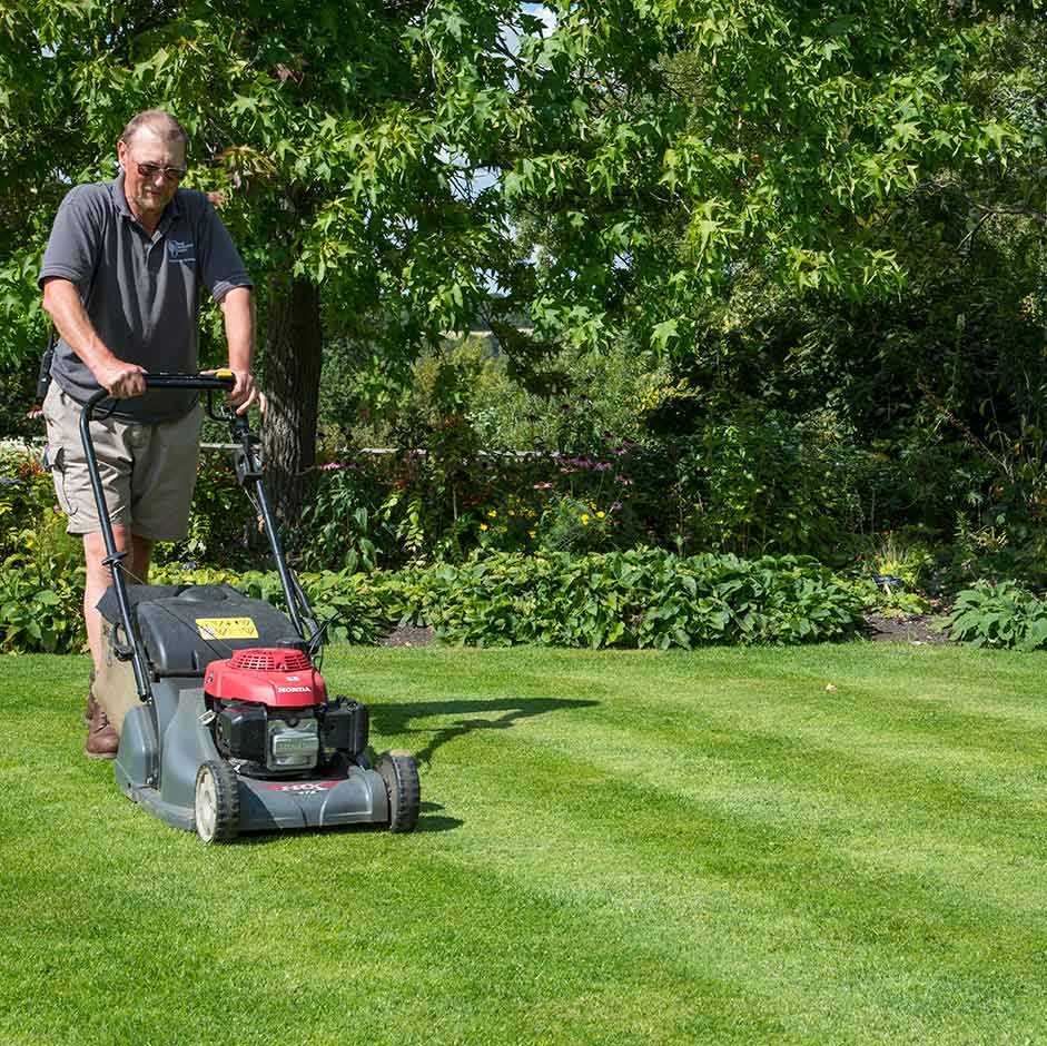 <p>Cutting the grass</p>