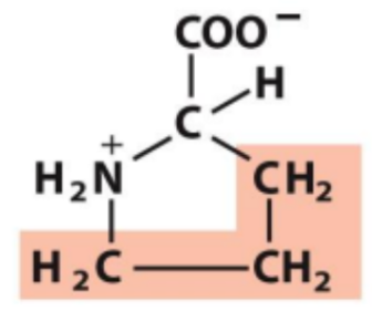 <p>Identify this amino acid</p>