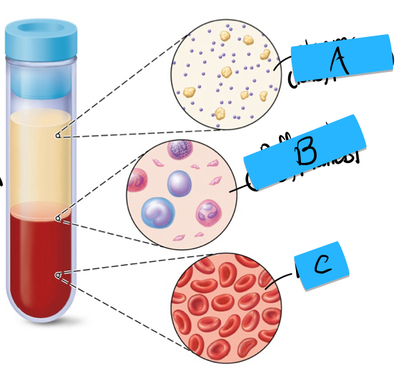 <p>what is the A substance of a hematocrit and what is it made of</p>