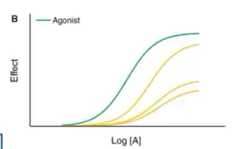 <p>Why does the curve shift right at lower doses and shift down at higher doses?</p>