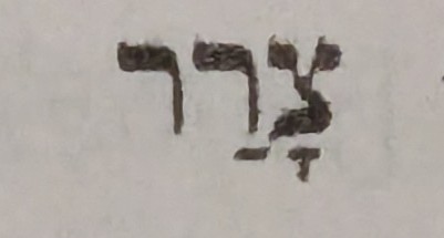 term image