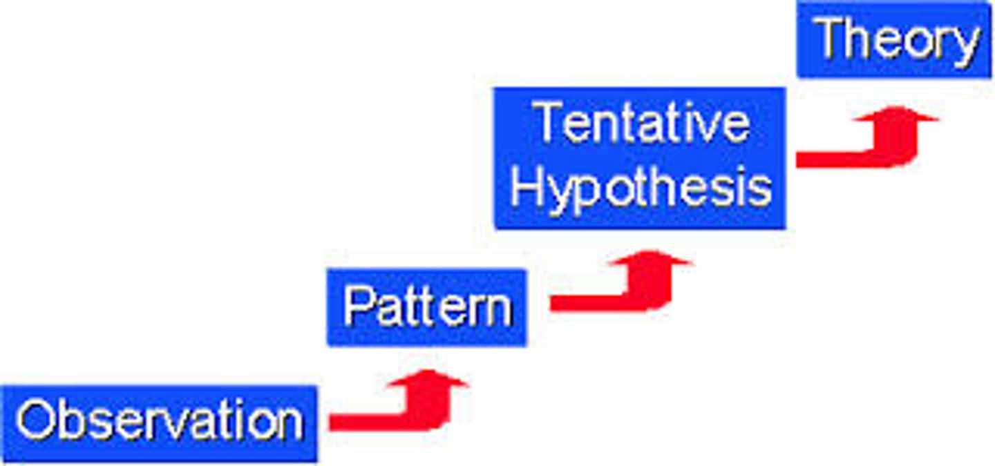 <p>Using inductive reasoning, it can be concluded that the use of the same genetic code across all forms of life indicates that all organisms inherited the use of the code from a common ancestor. The alternative, that all forms of life independently developed use of the same genetic code, is an illogical hypothesis.</p>