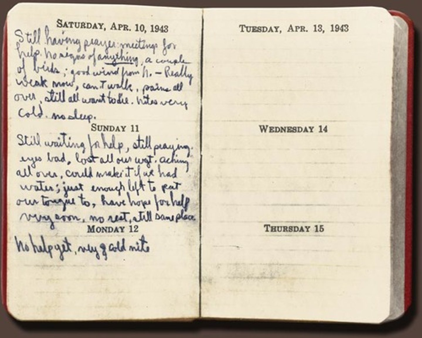 <p>diary (rìjì)</p>