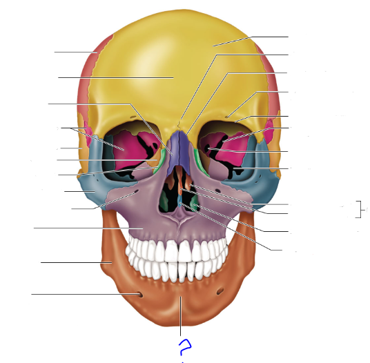 <p>(?)</p>