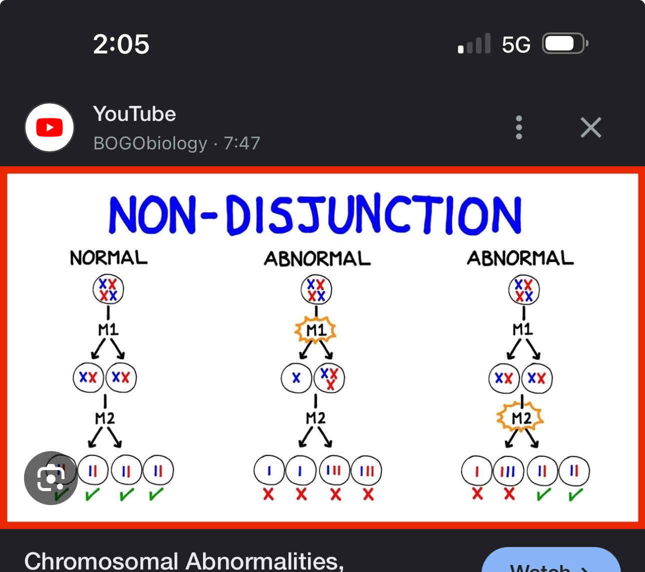 <p>Is the failure of chromosomes to separate during meiosis, resulting in an odd number of chromosomes ex</p><p>Monotomy, trisomy</p>