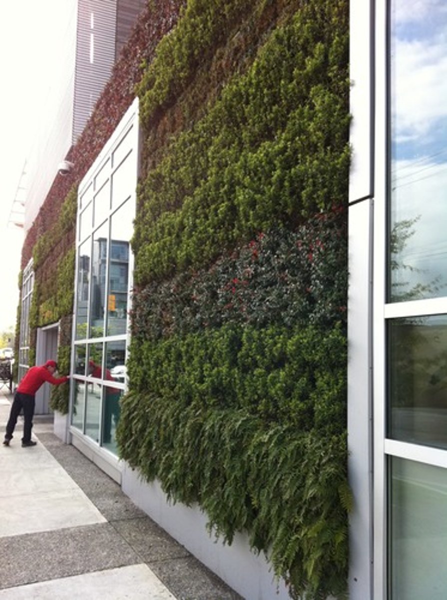 <p>green curtain</p>