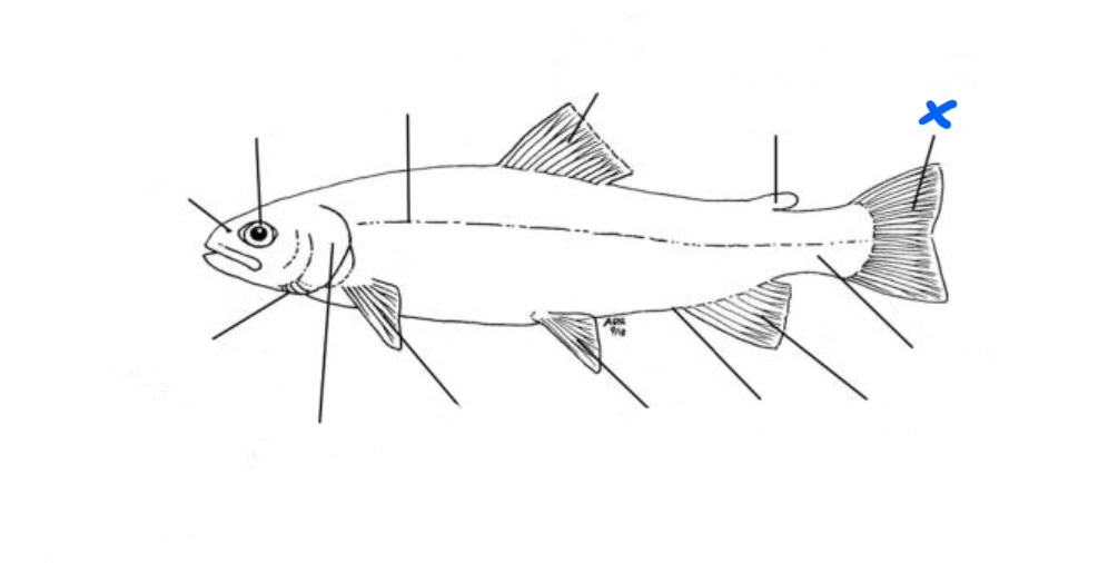 <p>What is this?</p>