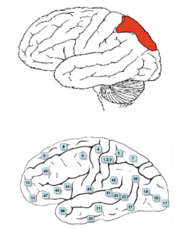 <p>5 and 7 </p>