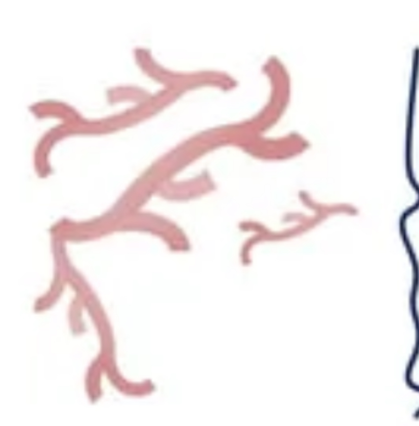 <p>Mesh like network</p>