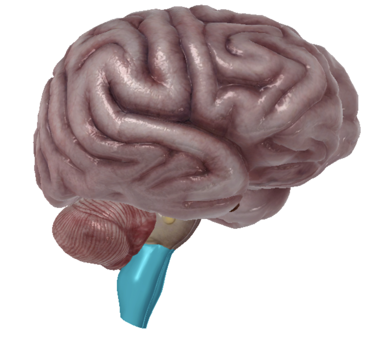 <p>what is highlighted </p>