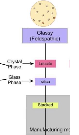 <p>glassy phase w embedded leucite crystals </p>