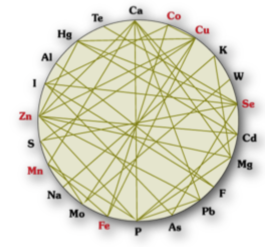 <p>Mineral interactions/ antagonists </p><p>Lower biological availability/ activity </p><p>Environmental concerns</p><p>Chelating minerals- improve absorption</p>