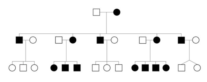 <ul><li><p>Vertical pedigree patten</p></li><li><p>children of affected men are never affected</p></li><li><p>all children of an affected woman MAY be affected - but diseases of this inheritance are overall variable</p></li><li><p><span>Heteroplasmy, which induces variable expressivity, and threshold effect can be reasons why individuals are not being affected in the pedigree</span></p></li></ul>