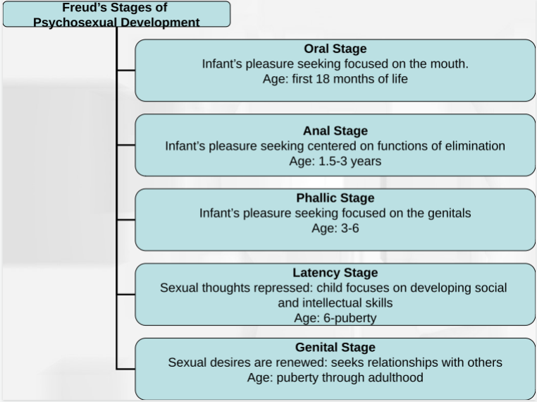 <p>Pleasure focused on mouth First 18 months Oral Receptive: oral fixation leads to biting and smoking, passive, needy, sensitive Oral aggressive: oral fixation leads to verbal aggression</p>