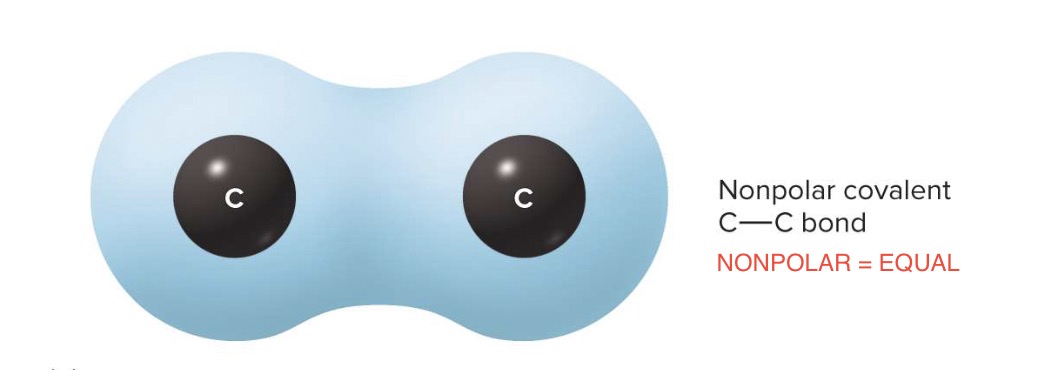 <p>electrons are shared <strong><mark data-color="#dbdaff" style="background-color: rgb(219, 218, 255); color: inherit;">equally</mark></strong></p><p>ex→ carbon atoms bonding together</p>