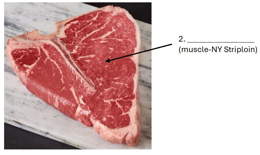 <p>What type of muscle is 2?</p>