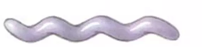 <p>Which bacterial shape is this?</p><p></p><p>a) Coccobacillus</p><p>b) Vibrio</p><p>c) Bacillus</p><p>d) Spirillum</p><p>e) Spirochete</p><p>f) Coccus</p>