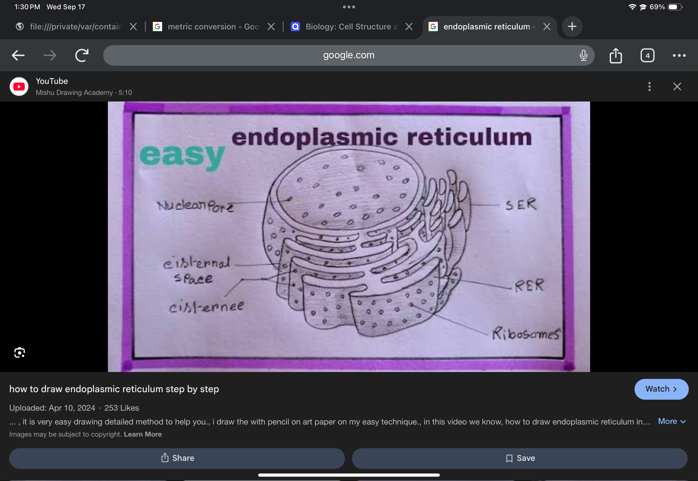 <p>ER studded with ribosomes; synthesizes proteins destined for secretion or membranes.</p>