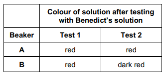 <p>Explain the results for beakers A and B in the table. (2 marks)</p>