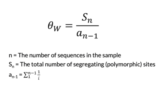 number of polymorphic sites