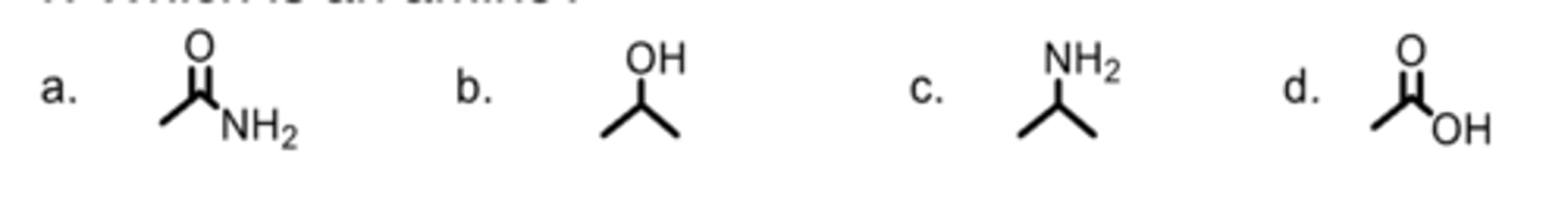 <p>Which is an amine?</p>