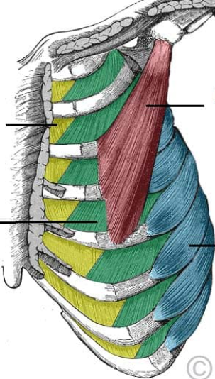 <p>green</p>