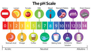 <p>A measure of the <u>acidity (acide) or alkalinity (base)</u> of a solution.</p>