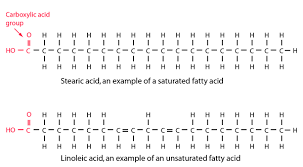saturated with hydrogen, solid, no double bonds, less healthy (hydrophobic), animal source