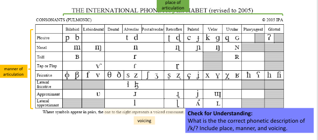 <p><span>List the voicing, place, and manner of /t/</span></p>