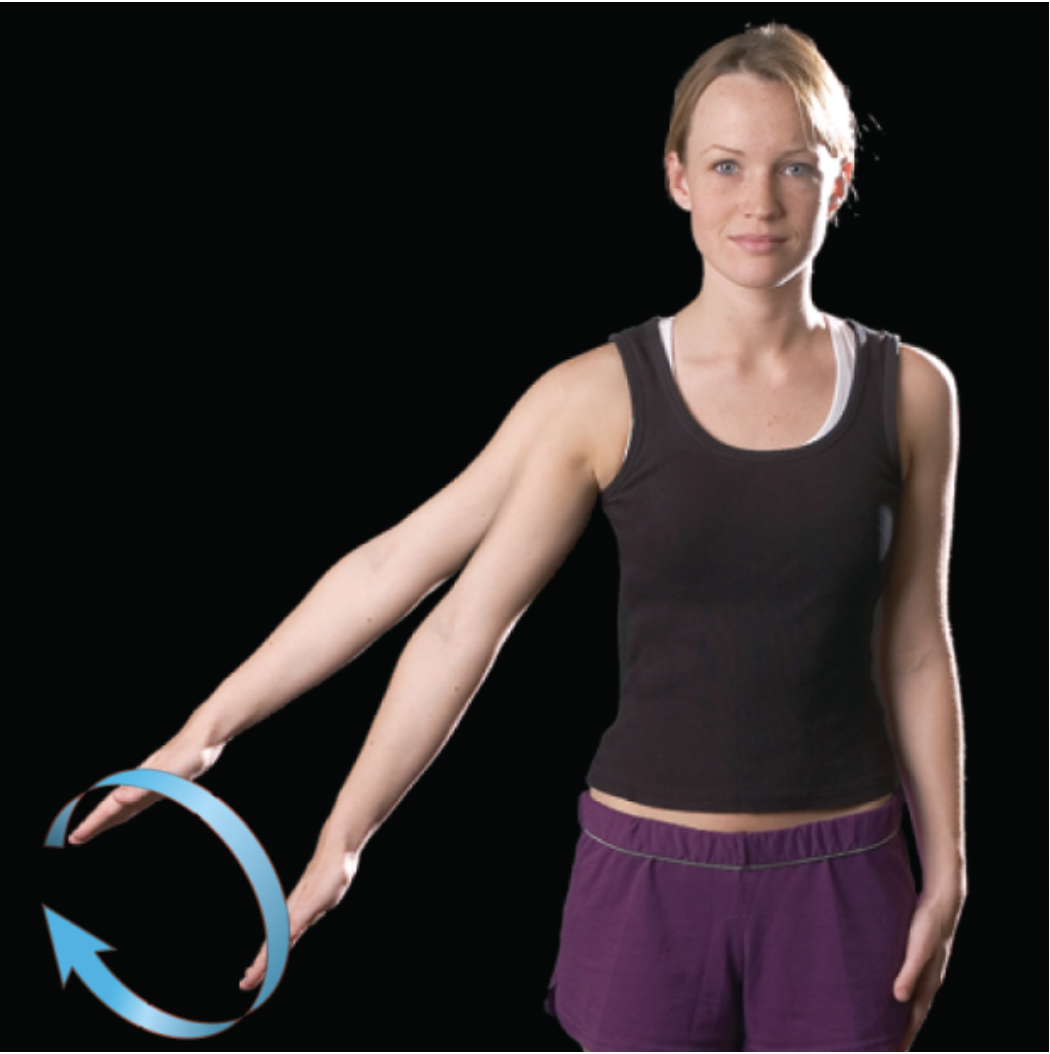 <p>one end of an appendage remains fairly stationary while the other makes a circular motion</p>
