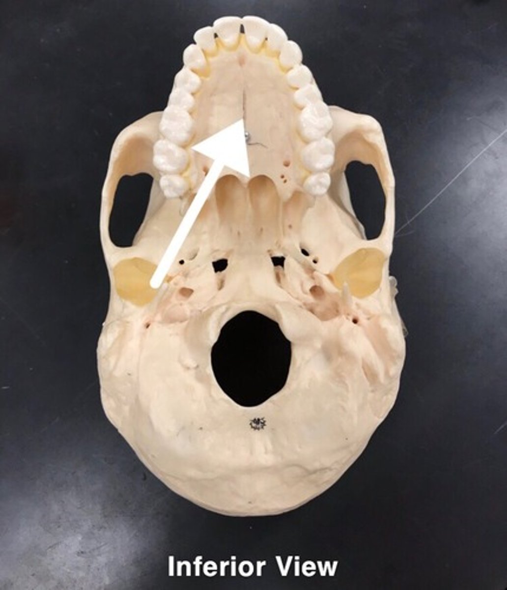 <p>What is this?</p>