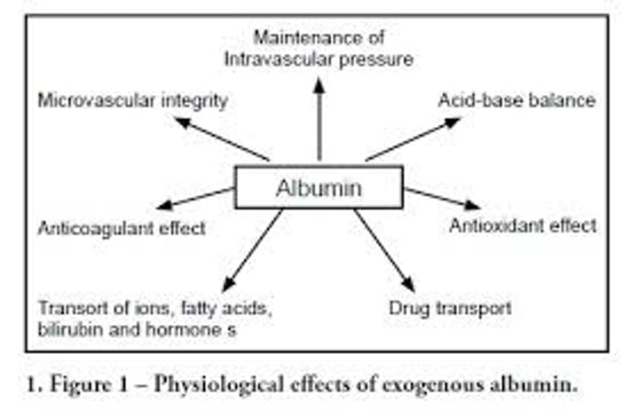 <p>most abundant plasma protein, accounting for most of the osmotic pressure of plasma</p>