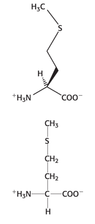 <p>Category: Hydrophobic </p>