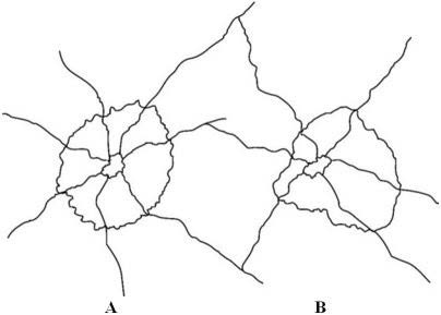 <p><span>In reference to the diagram above, what is the correct sequence of impacts? </span></p><p></p><p><span>A:&nbsp;</span>A first</p><p>B: The sequence is impossible to determine</p><p>C: A and B simultaneously</p><p>D: B first</p>