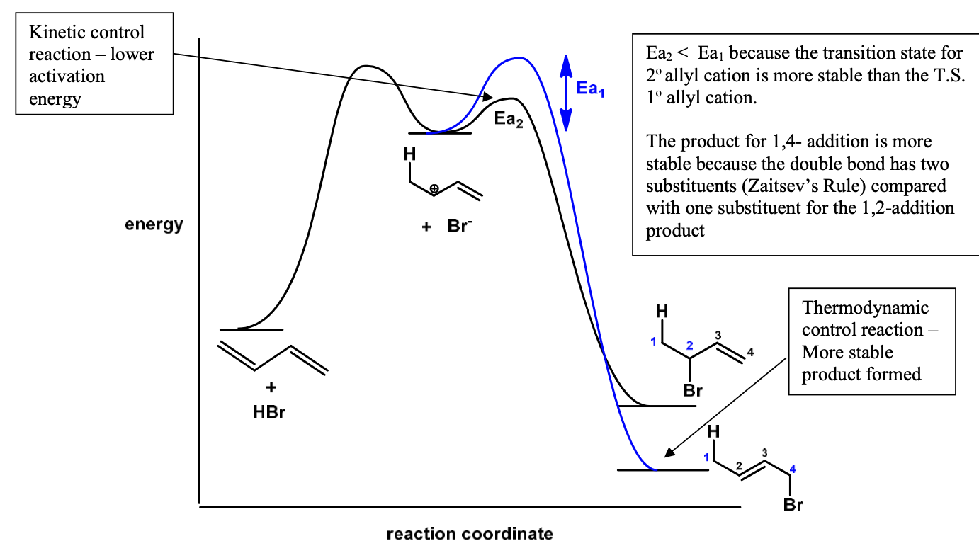 has two peaks with one intermediate (carbocation). depending on which carbocation is formed (primary or secondary), the second peak will be different heights. If the more stable carbocation is formed, the peak is slightly lower. If the less stable carbocation is formed, then the peak is slightly higher. The product from the less stable carbocation will be lower in energy than the other product, and is therefore more stable. The product from the more stable carbocation will be higher in energy, and is therefore more unstable