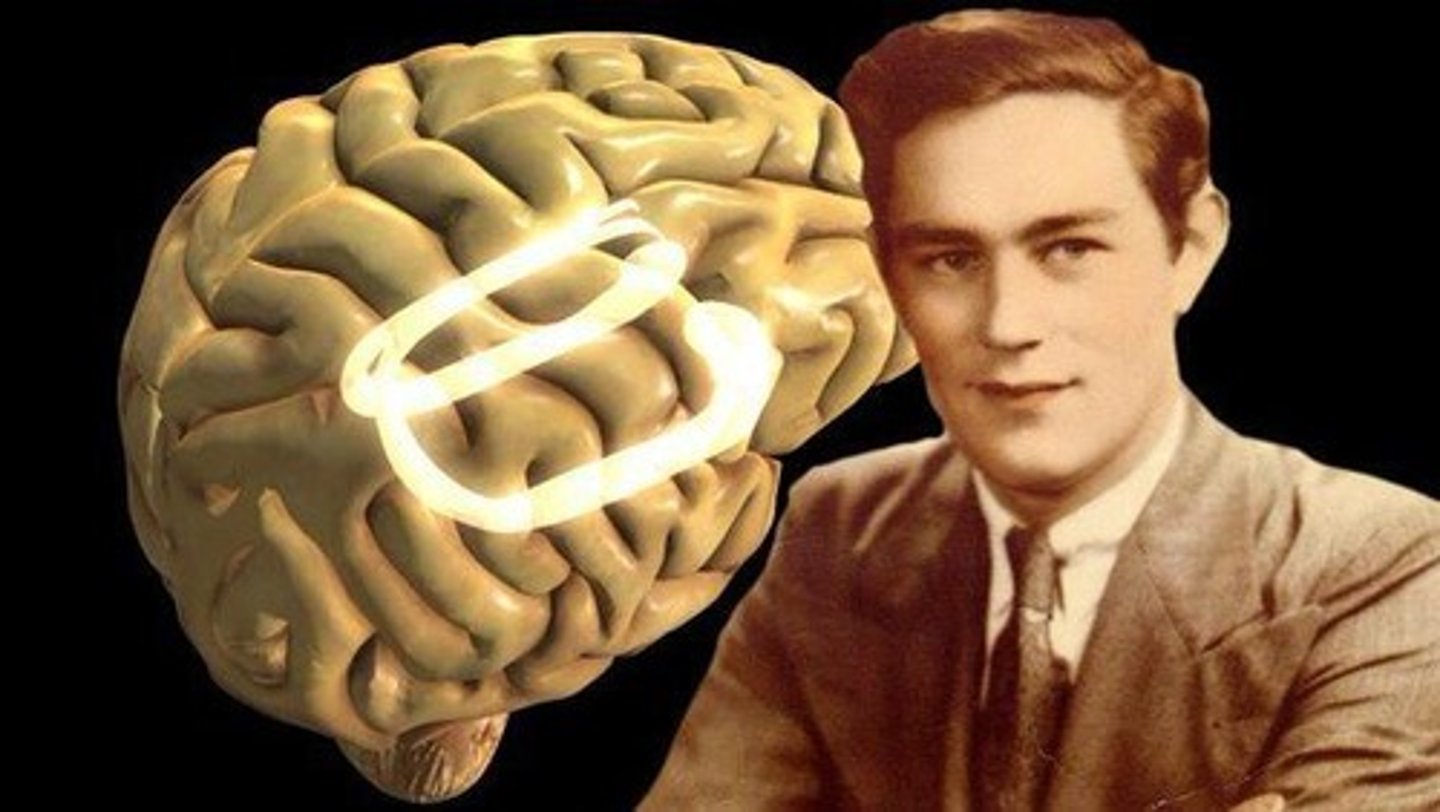 <p>The most famous brain in psychology.</p><p>Because of him, we now know the importance of both the hippocampus and cerebellum</p><p>BRAIN LESION: Had his hippocampus removed, so he had anterograde amnesia - he couldn't make new memories. He could, however, remember events that happened before the surgery.</p><p>Plus he could learn new skills - procedural memory- since skills are stored in the cerebellum and the basal ganglia. He didn't remember learning how to draw the mirror star, but he improved each time he did it!</p>
