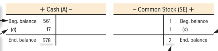 <p>T-Account General Notes on Structure</p>