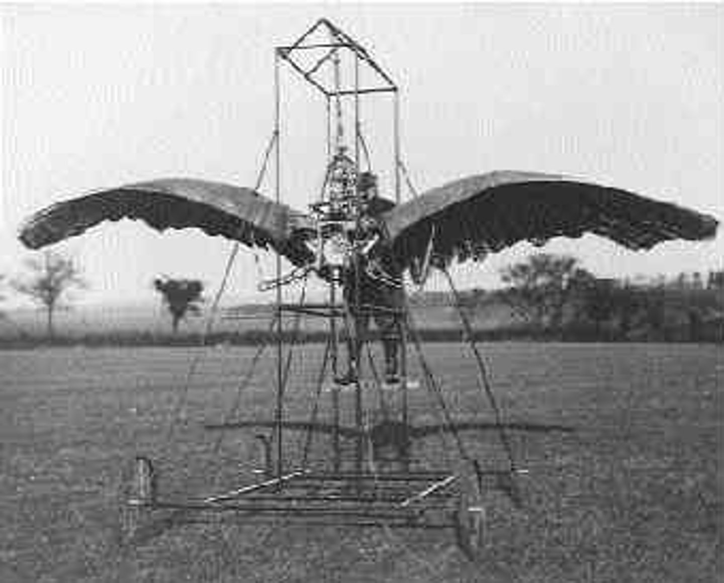 <p>/ɔːrˈnɪθəptər/</p><p>máy bay cánh chim</p><p>ornis / ornith- = bird</p><p>pteron = wing</p><p>ex: Ornithopters are difficult to stabilize during flight.</p>