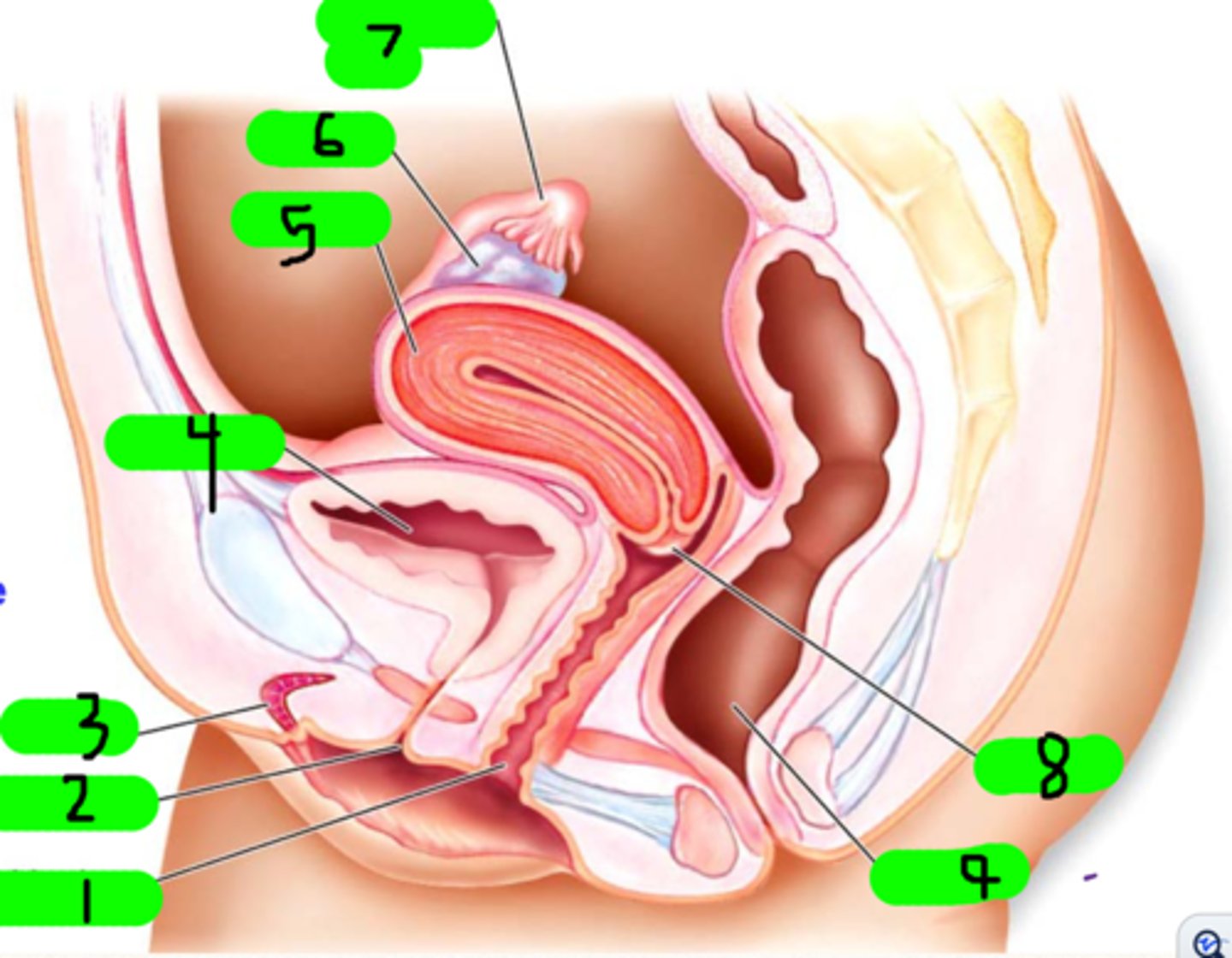 <p>What is 3?</p>