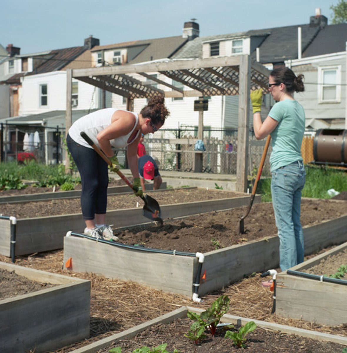<p>growing fruits and vegetables on small plots or shared community gardens within the confines of a city.</p>