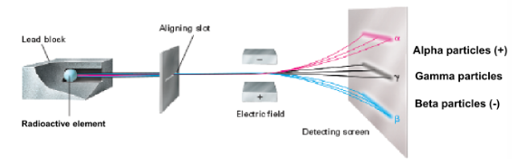<p>What is being demonstrated in this picture?</p>