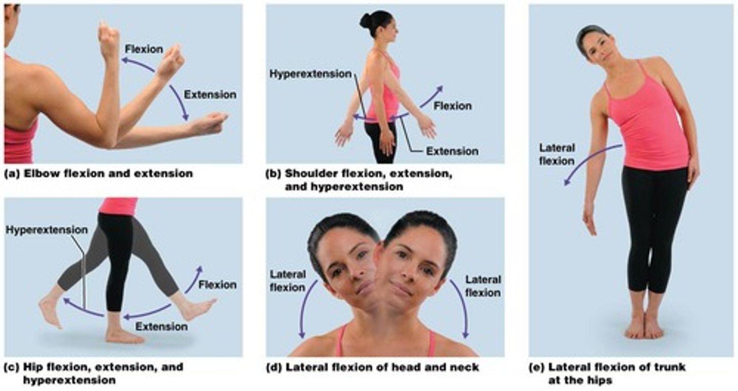<p>Movements that increase or decrease the angle between articulating bones.</p>